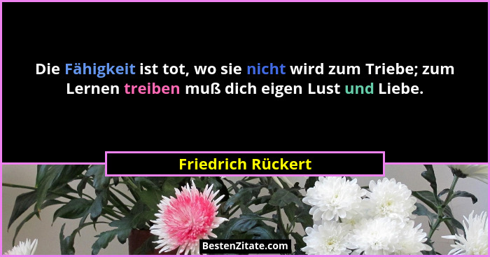 Die Fähigkeit ist tot, wo sie nicht wird zum Triebe; zum Lernen treiben muß dich eigen Lust und Liebe.... - Friedrich Rückert