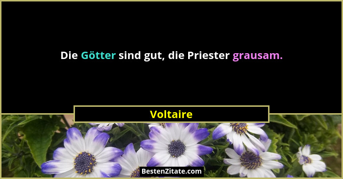 Die Götter sind gut, die Priester grausam.... - Voltaire