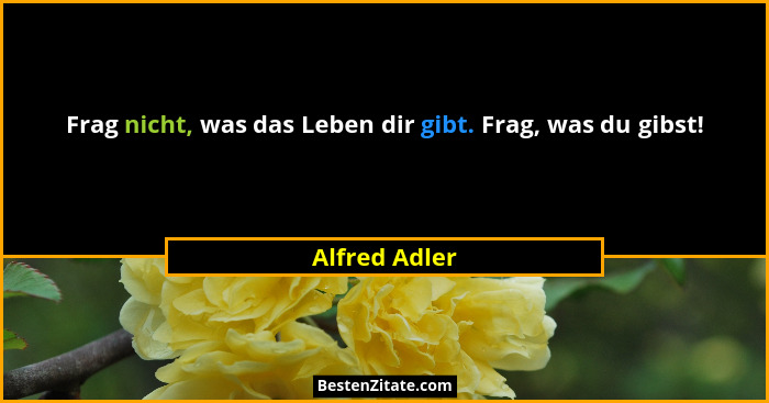 Frag nicht, was das Leben dir gibt. Frag, was du gibst!... - Alfred Adler