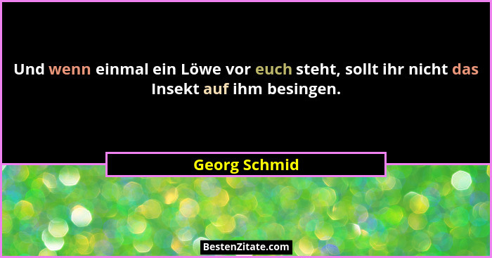 Und wenn einmal ein Löwe vor euch steht, sollt ihr nicht das Insekt auf ihm besingen.... - Georg Schmid