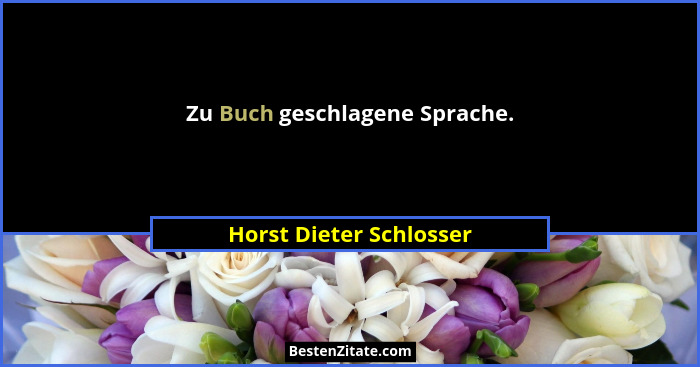 Zu Buch geschlagene Sprache.... - Horst Dieter Schlosser