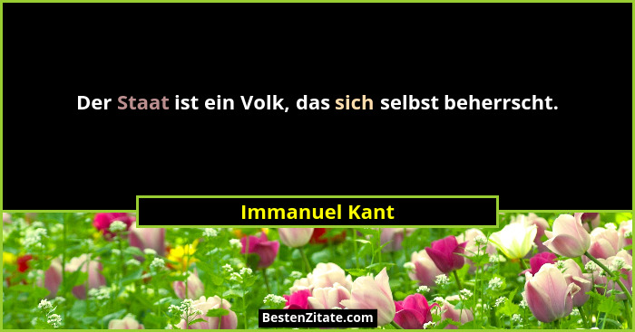 Der Staat ist ein Volk, das sich selbst beherrscht.... - Immanuel Kant