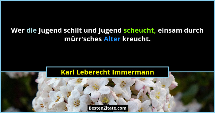 Wer die Jugend schilt und Jugend scheucht, einsam durch mürr'sches Alter kreucht.... - Karl Leberecht Immermann