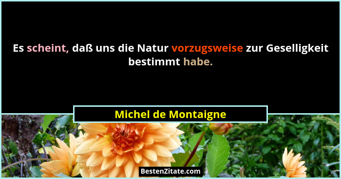 Es scheint, daß uns die Natur vorzugsweise zur Geselligkeit bestimmt habe.... - Michel de Montaigne