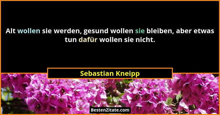 Alt wollen sie werden, gesund wollen sie bleiben, aber etwas tun dafür wollen sie nicht.... - Sebastian Kneipp