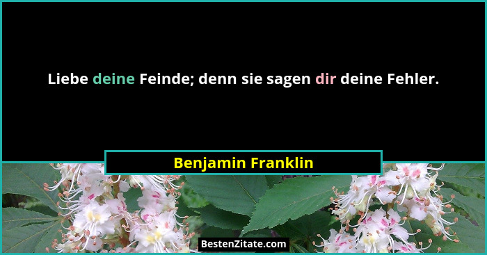 Liebe deine Feinde; denn sie sagen dir deine Fehler.... - Benjamin Franklin