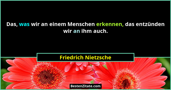 Das, was wir an einem Menschen erkennen, das entzünden wir an ihm auch.... - Friedrich Nietzsche