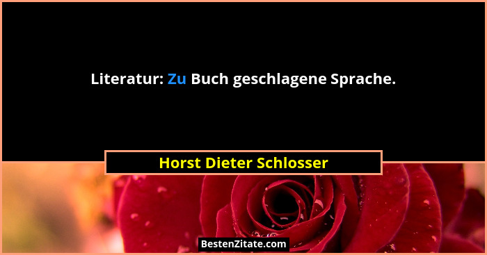 Literatur: Zu Buch geschlagene Sprache.... - Horst Dieter Schlosser