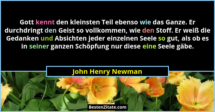 Gott kennt den kleinsten Teil ebenso wie das Ganze. Er durchdringt den Geist so vollkommen, wie den Stoff. Er weiß die Gedanken un... - John Henry Newman