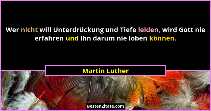 Wer nicht will Unterdrückung und Tiefe leiden, wird Gott nie erfahren und Ihn darum nie loben können.... - Martin Luther