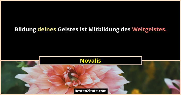Bildung deines Geistes ist Mitbildung des Weltgeistes.... - Novalis