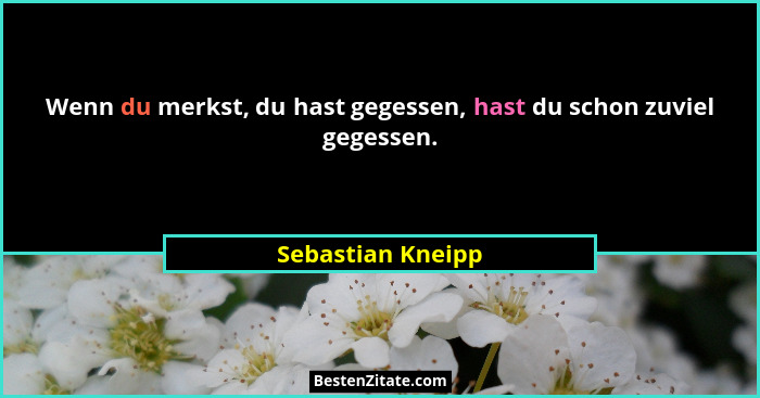Wenn du merkst, du hast gegessen, hast du schon zuviel gegessen.... - Sebastian Kneipp