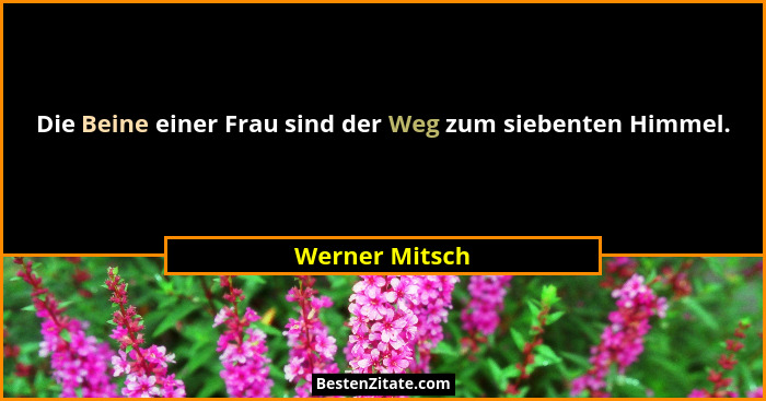 Die Beine einer Frau sind der Weg zum siebenten Himmel.... - Werner Mitsch