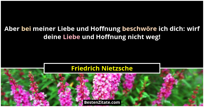 Aber bei meiner Liebe und Hoffnung beschwöre ich dich: wirf deine Liebe und Hoffnung nicht weg!... - Friedrich Nietzsche