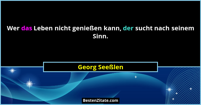 Wer das Leben nicht genießen kann, der sucht nach seinem Sinn.... - Georg Seeßlen