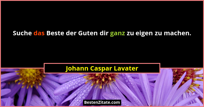 Suche das Beste der Guten dir ganz zu eigen zu machen.... - Johann Caspar Lavater
