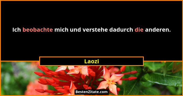 Ich beobachte mich und verstehe dadurch die anderen.... - Laozi
