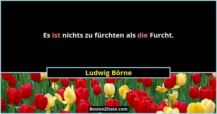 Es ist nichts zu fürchten als die Furcht.... - Ludwig Börne