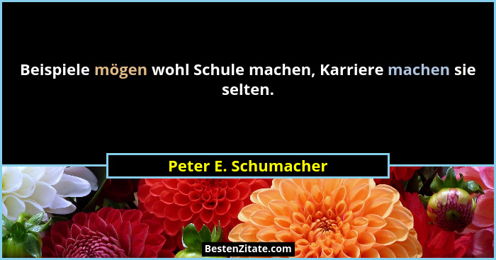 Beispiele mögen wohl Schule machen, Karriere machen sie selten.... - Peter E. Schumacher