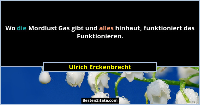 Wo die Mordlust Gas gibt und alles hinhaut, funktioniert das Funktionieren.... - Ulrich Erckenbrecht