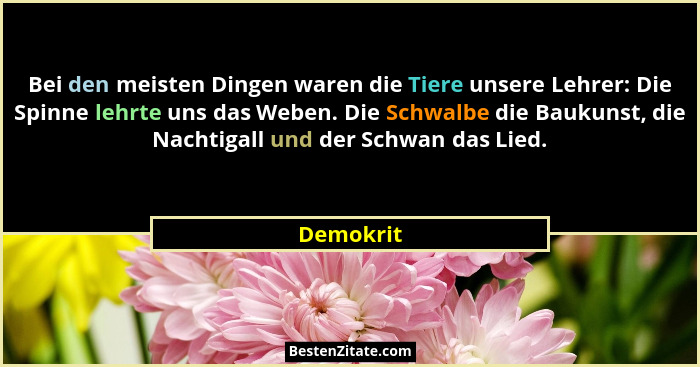 Bei den meisten Dingen waren die Tiere unsere Lehrer: Die Spinne lehrte uns das Weben. Die Schwalbe die Baukunst, die Nachtigall und der Sc... - Demokrit
