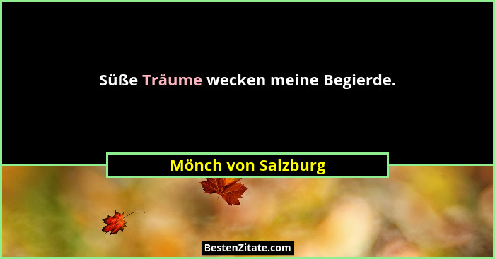 Süße Träume wecken meine Begierde.... - Mönch von Salzburg