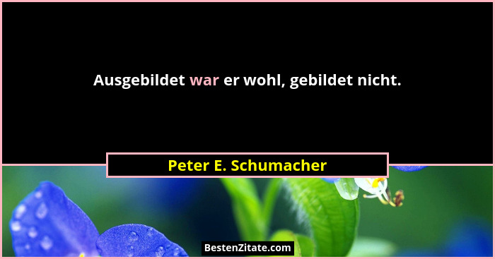 Ausgebildet war er wohl, gebildet nicht.... - Peter E. Schumacher