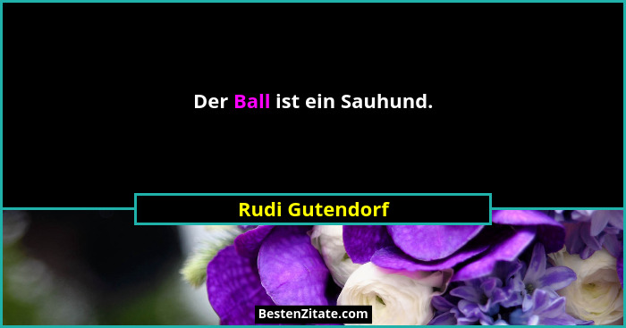 Der Ball ist ein Sauhund.... - Rudi Gutendorf