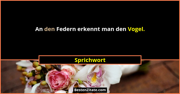 An den Federn erkennt man den Vogel.... - Sprichwort