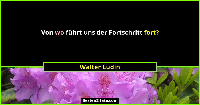 Von wo führt uns der Fortschritt fort?... - Walter Ludin
