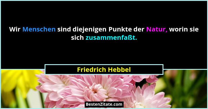 Wir Menschen sind diejenigen Punkte der Natur, worin sie sich zusammenfaßt.... - Friedrich Hebbel