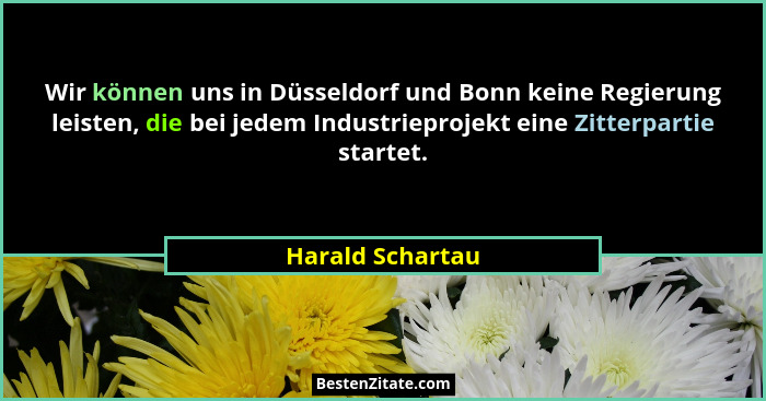 Wir können uns in Düsseldorf und Bonn keine Regierung leisten, die bei jedem Industrieprojekt eine Zitterpartie startet.... - Harald Schartau