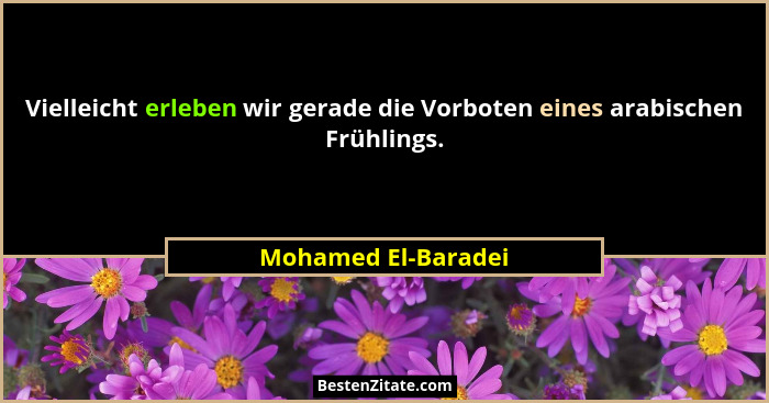 Vielleicht erleben wir gerade die Vorboten eines arabischen Frühlings.... - Mohamed El-Baradei