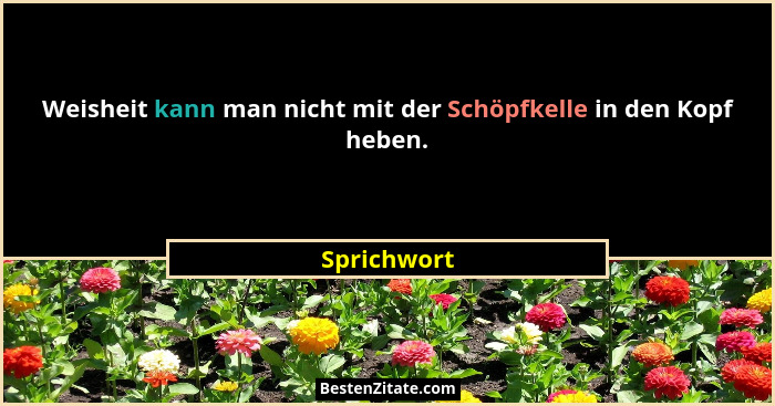 Weisheit kann man nicht mit der Schöpfkelle in den Kopf heben.... - Sprichwort