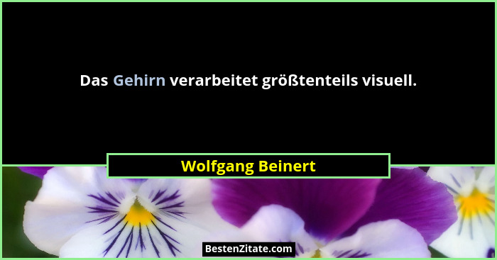 Das Gehirn verarbeitet größtenteils visuell.... - Wolfgang Beinert