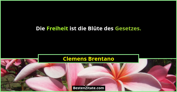 Die Freiheit ist die Blüte des Gesetzes.... - Clemens Brentano