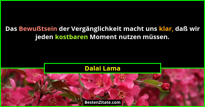 Das Bewußtsein der Vergänglichkeit macht uns klar, daß wir jeden kostbaren Moment nutzen müssen.... - Dalai Lama