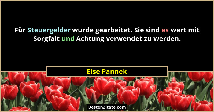 Für Steuergelder wurde gearbeitet. Sie sind es wert mit Sorgfalt und Achtung verwendet zu werden.... - Else Pannek