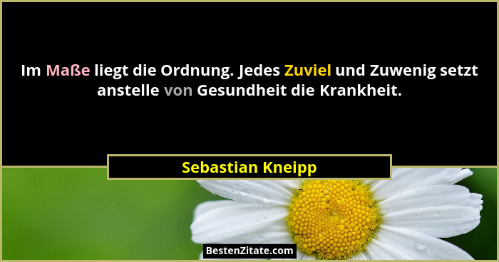 Im Maße liegt die Ordnung. Jedes Zuviel und Zuwenig setzt anstelle von Gesundheit die Krankheit.... - Sebastian Kneipp