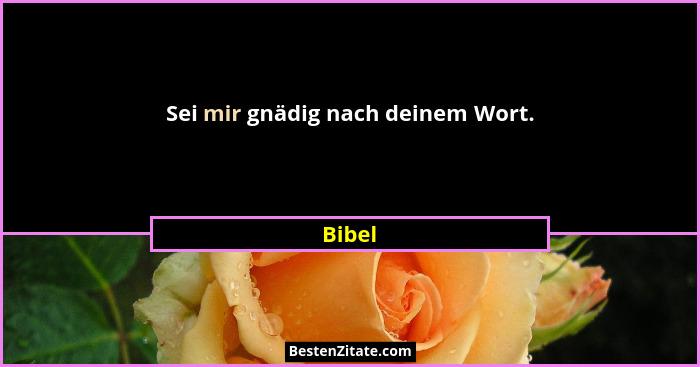 Sei mir gnädig nach deinem Wort.... - Bibel