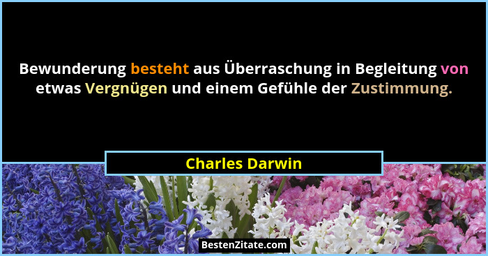 Bewunderung besteht aus Überraschung in Begleitung von etwas Vergnügen und einem Gefühle der Zustimmung.... - Charles Darwin