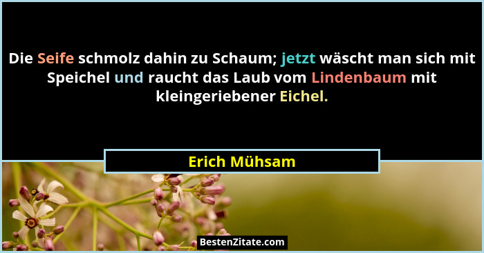 Die Seife schmolz dahin zu Schaum; jetzt wäscht man sich mit Speichel und raucht das Laub vom Lindenbaum mit kleingeriebener Eichel.... - Erich Mühsam