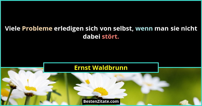 Viele Probleme erledigen sich von selbst, wenn man sie nicht dabei stört.... - Ernst Waldbrunn