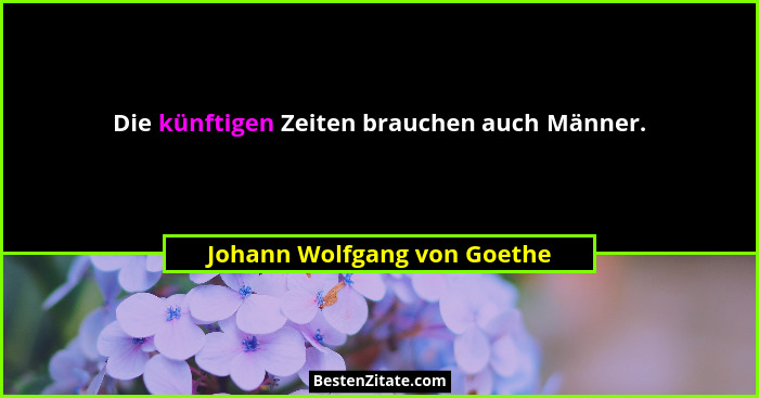 Die künftigen Zeiten brauchen auch Männer.... - Johann Wolfgang von Goethe