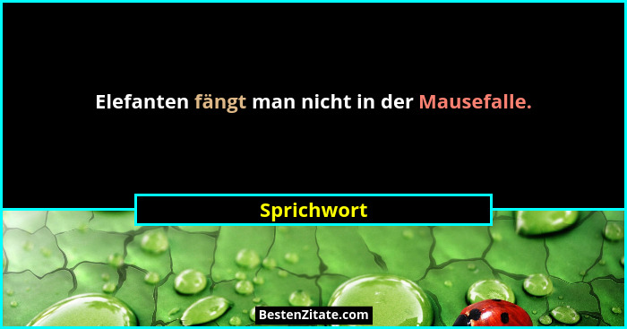 Elefanten fängt man nicht in der Mausefalle.... - Sprichwort