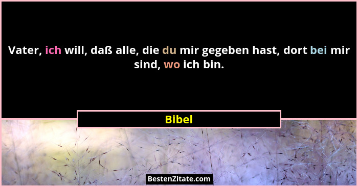 Vater, ich will, daß alle, die du mir gegeben hast, dort bei mir sind, wo ich bin.... - Bibel
