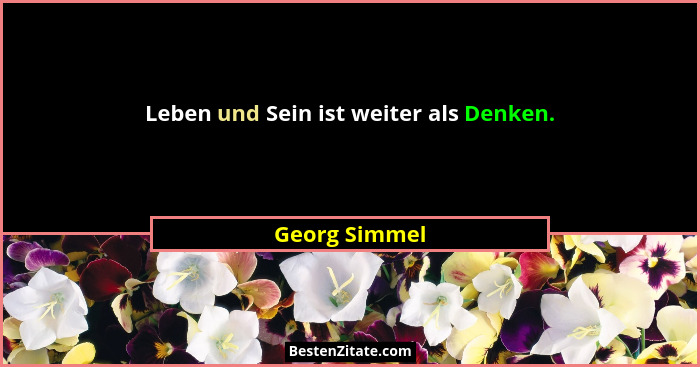 Leben und Sein ist weiter als Denken.... - Georg Simmel