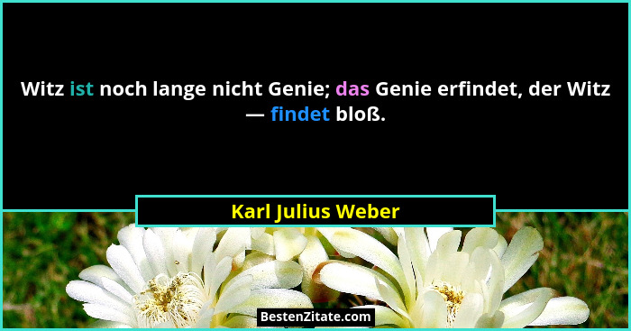 Witz ist noch lange nicht Genie; das Genie erfindet, der Witz — findet bloß.... - Karl Julius Weber
