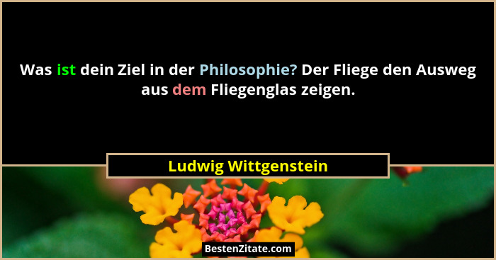 Was ist dein Ziel in der Philosophie? Der Fliege den Ausweg aus dem Fliegenglas zeigen.... - Ludwig Wittgenstein