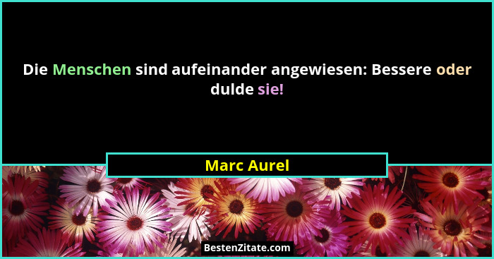 Die Menschen sind aufeinander angewiesen: Bessere oder dulde sie!... - Marc Aurel